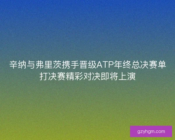 辛纳与弗里茨携手晋级ATP年终总决赛单打决赛精彩对决即将上演