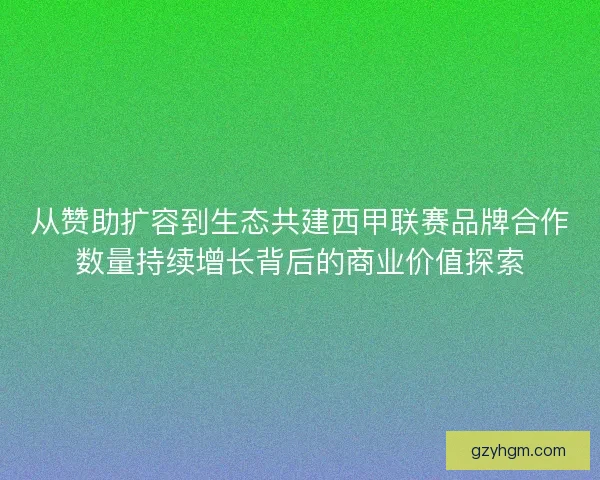 从赞助扩容到生态共建西甲联赛品牌合作数量持续增长背后的商业价值探索